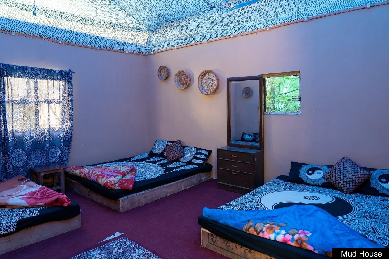 OdysseysParvatiWoodsCamp