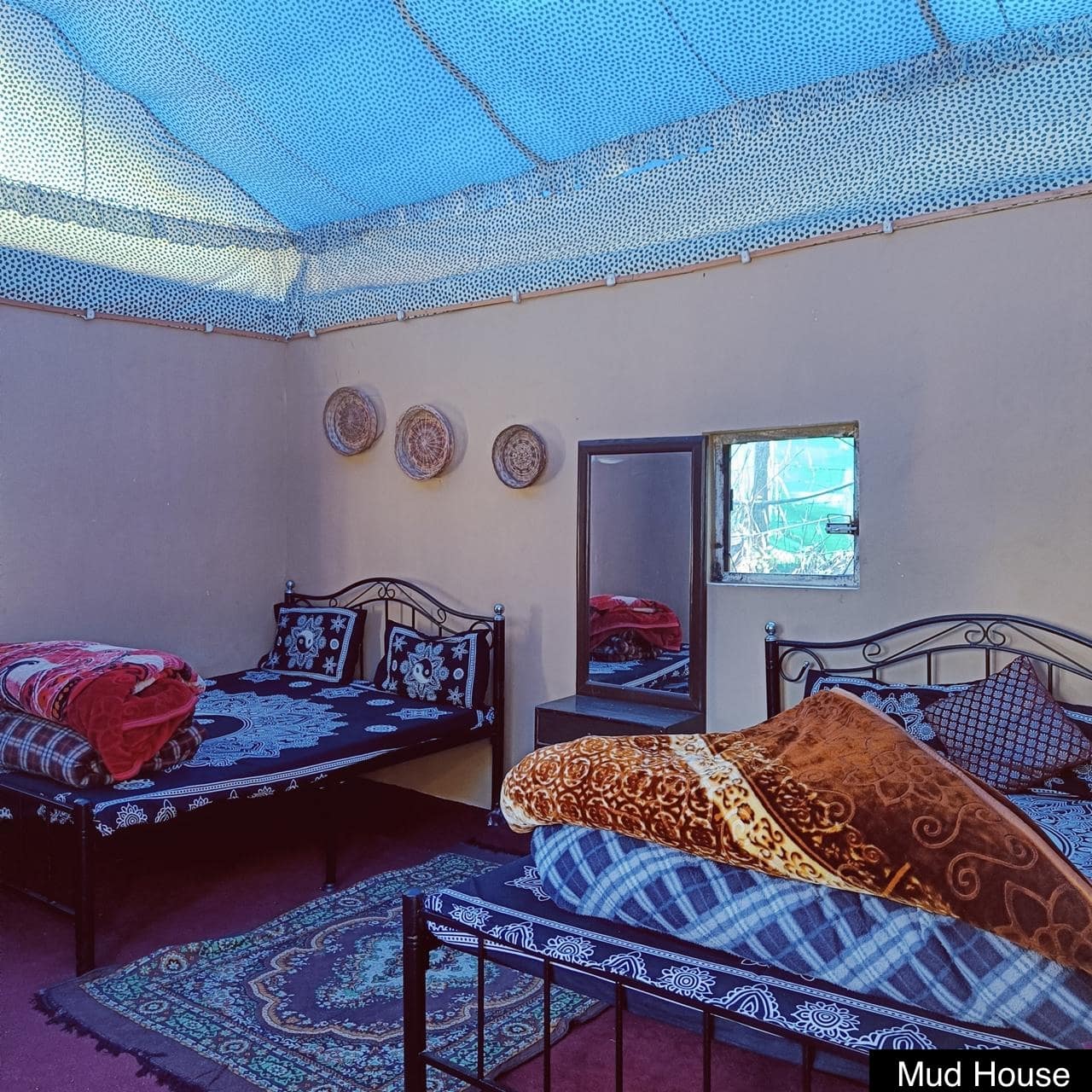 OdysseysParvatiWoodsCamp