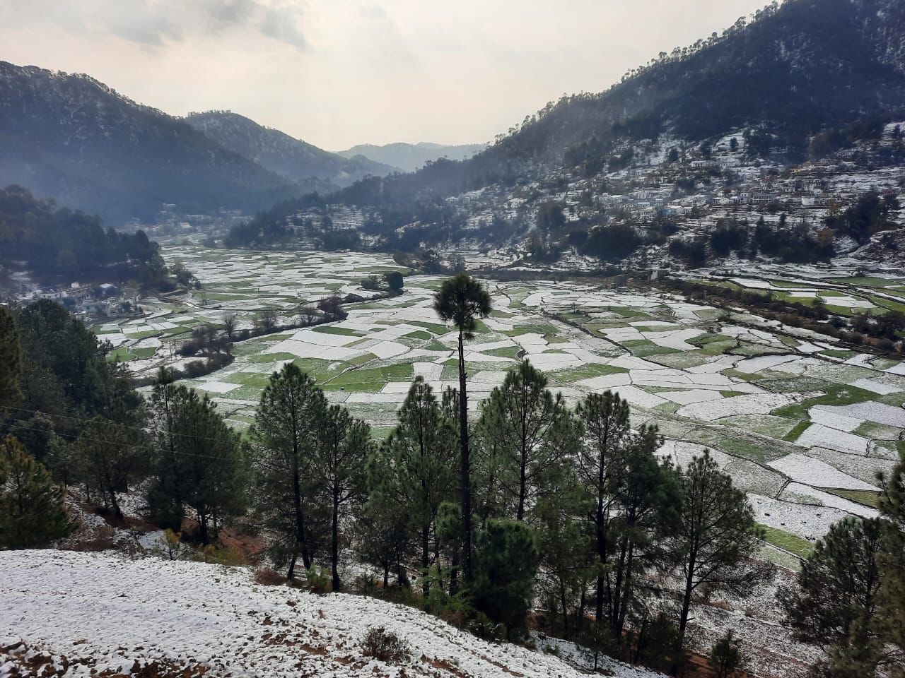 Odyssey Stays kausani