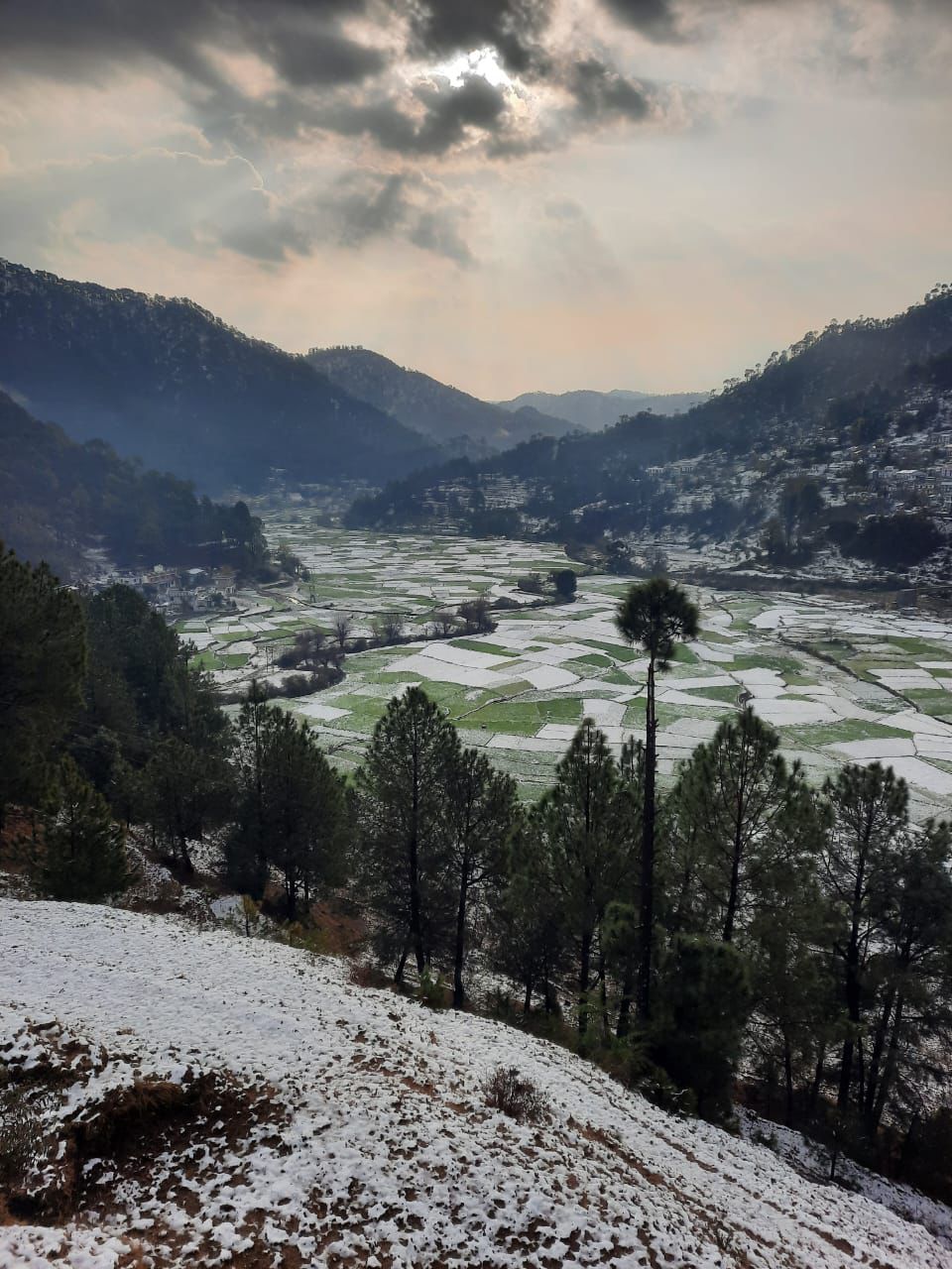 Odyssey Stays kausani